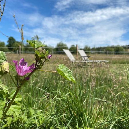 La vagabonde Bed and Breakfast Gesves Esterno foto